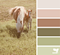 Creature Color Archives | Page 4 of 6 | Design Seeds