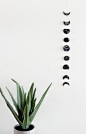 because moon phases are currently my favorite thing, i really wanted to make an easy wall hanging...: 