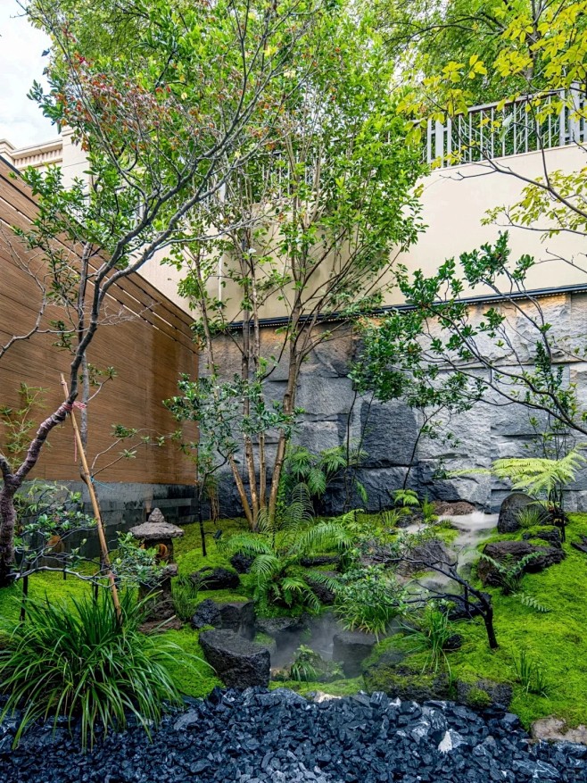 杂木风禅意庭院 _ 林间隙_4_植物景境design_来自小红书网页版
