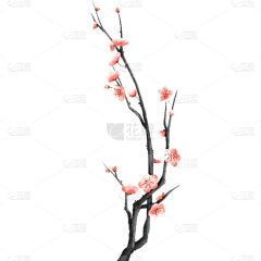 莹莹莹1采集到花