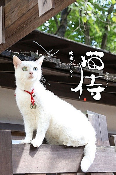 《猫侍》