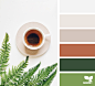 Design Seeds : Design Seeds color palettes ... posted daily for all who love color.