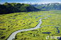 楚加奇湿地，“迷人”的图案