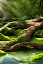[电商森林场景]moss苔藓场景-LoRA-阿瓜门前一棵葡萄树-LiblibAI