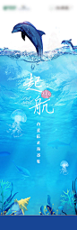 夏日海豚游泳活动海报-源文件