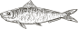 复古手绘素描风格海鲜八爪鱼螃蟹免抠PNG图案 AI矢量印刷PS素材 (7)