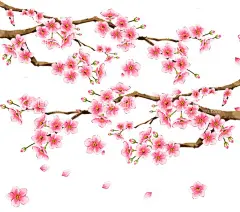 梅花桃花PNG   - 源文件下载【酷图网】梅花桃花PNG,水墨梅花,中国风梅花,清新梅花,腊梅,手绘梅花,桃花,樱花,花卉,梅兰竹菊,花草,海报背景,工艺插画,传统文化,广告设计,PNG免扣素材,