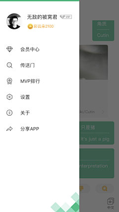 王能能耶采集到APP-侧边栏