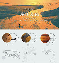 小小玉雨儿采集到分析图
