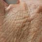 Hand Update, James Busby : Scans Available here :: https://www.3dscanstore.com/hand-3d-model/all-model-hands-section
Just a quick re-render of one of our retopologised hand scans using Marmoset Toolbag 4. Very simple setup using an HDRI and no lights. Alb