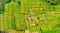 VCG41N982580788