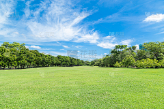 花瓣素材-城市建筑采集到城市