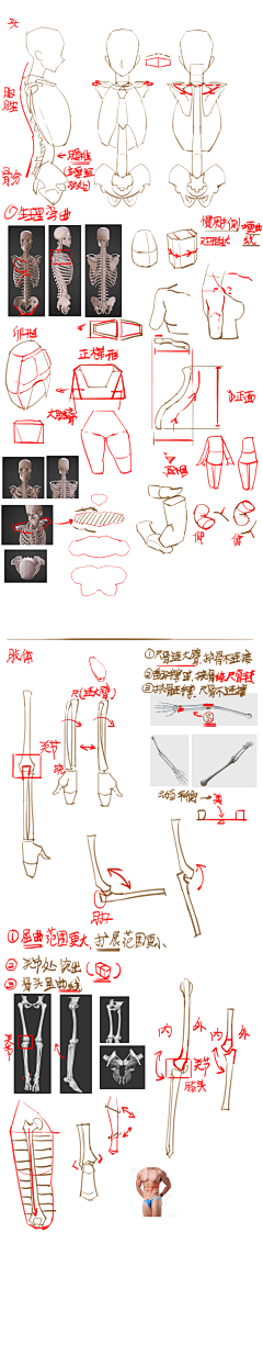 CYIVII47采集到人体