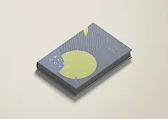 设计书本包装精装书籍样机