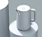 Electric Kettle