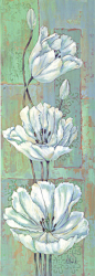 HJ0011B