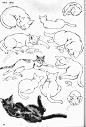 卡通漫画绘画技法之动物的画法0041