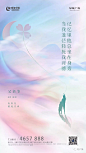 绿城·新疆百合留香苑平面视觉赏析 : 出品方：新疆塞尚沟通