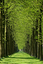 Spring in Apeldoorn, Netherlands