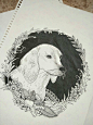 黑白生肖插画