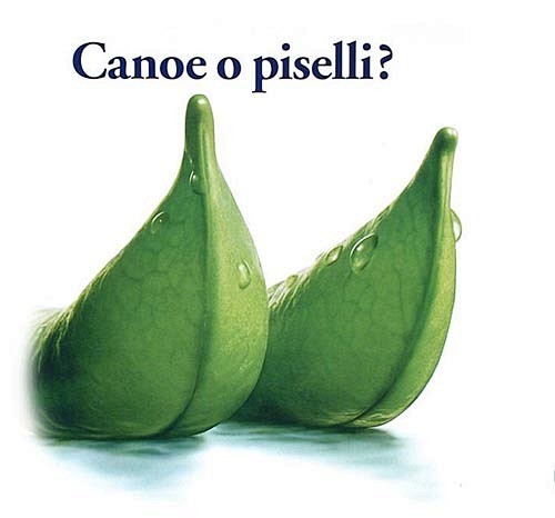 蔬菜也可爱 意大利超市里的创意海报 _第...