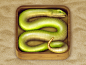 Snake icon big