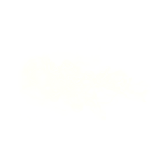 玊颜采集到各种元素PNG