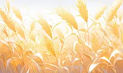 【AI数字艺术】麦穗小麦田地农作物粮食插画下载
