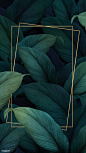 2_Green tropical leaves patterned poster premium image by rawpixel.com eyeeyeview