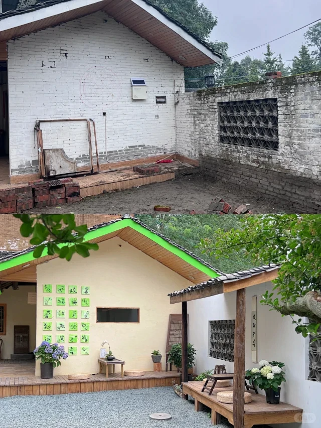 “我用了半年，把农村旧房改造成治愈小院”