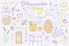 薰衣草蜂蜜集。手绘卡通集合-花、 瓶子、 书法、 花卉元素。涂鸦画.