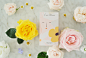 SHISEIDO | 卤猫