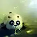 狸想花园