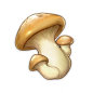 Mushroom : Mushrooms are a Cooking Ingredient commonly found in the wild all over Teyvat. Mushrooms grow on all kinds of terrains throughout Teyvat, and are most common in Mondstadt and in Liyue's Bishui Plain & Qiongji Estuary areas. See the Video Gu