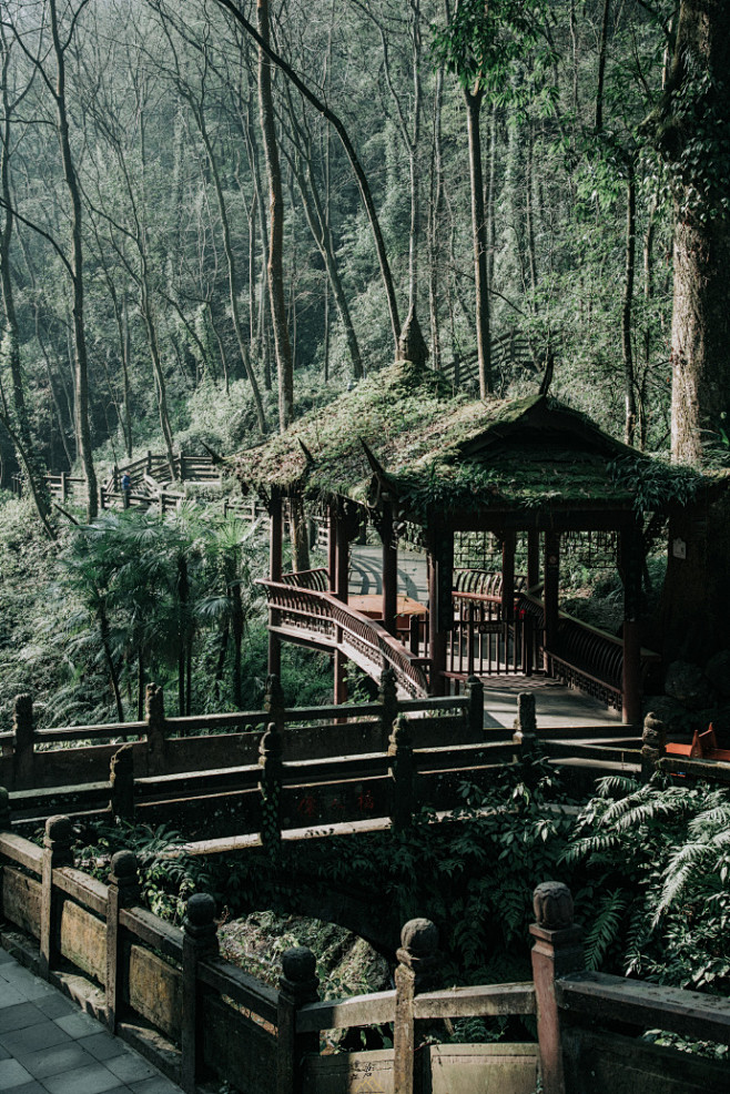 四川青城山，青城天下幽！ 太喜欢这种道教仙山了，建筑也随山就势、顺应自然，巧妙地点缀在自然山水之间。