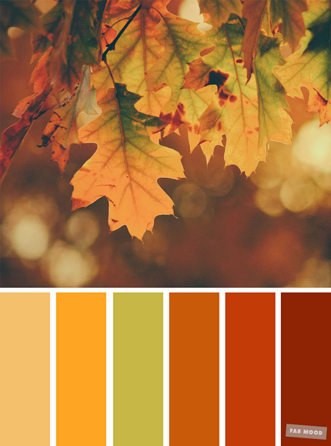 59个漂亮的秋天配色方案