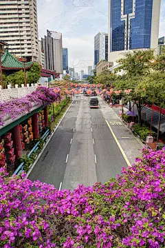 中秋节期间的新加坡唐人街