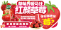 红颜草莓KT_画板 1