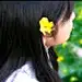 小渣渣豆儿