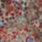 Snipaste_2023-12-02_20-54-17
