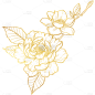 植物通用金色线条花朵元素素材