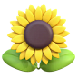 Sunflower 3D Icon