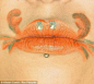 【创意图片】嘴巴

 
  
  
来自摄影师Alistair Cowin的作品，你会认为这些是嘴唇吗？你真的认为这些是嘴唇吗？！哦，亲，我最开始可真不敢这么觉得呢~

(9张)