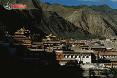 摇曳的小花采集到西藏扎什伦布寺