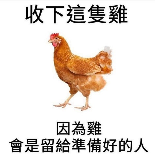 时雨
我天，这大烂梗