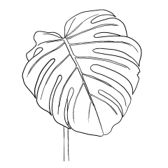 zhang巧芬采集到卡通手绘