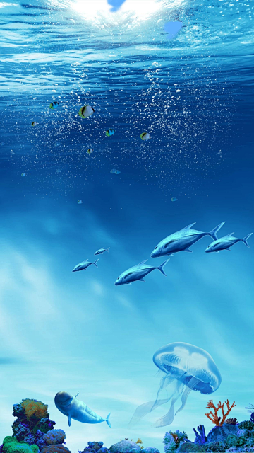 蓝色世界海洋日背景手机桌面壁纸背景