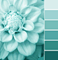 Color Schemes - Great guide on pairing color. I always have trouble with this!: 