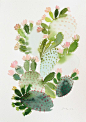 I LOVE this original cactus watercolor by Yao Cheng!: