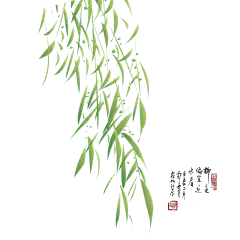 植物 叶子 竹叶 png 绿色